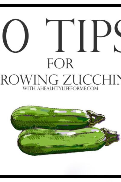 10 Tips for Growing Zucchini