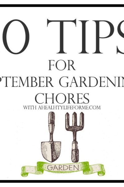 10 Tips for September Gardening | ahealthylifeforme.com