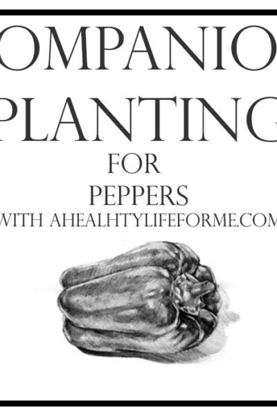 Companion Planting for Peppers | ahealthylifeforme.com
