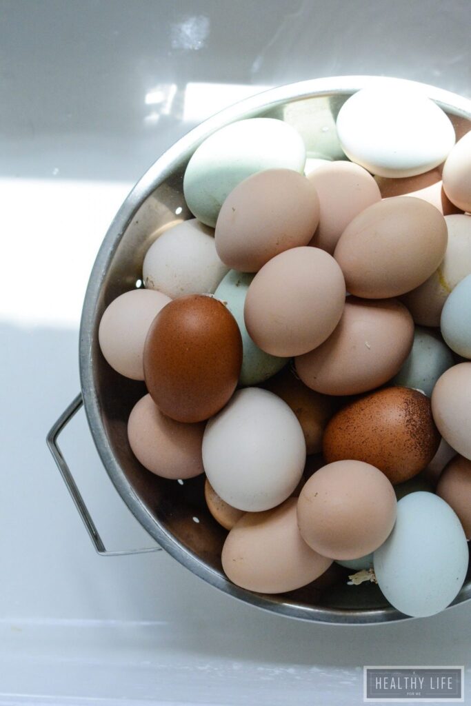 Fun Facts About Keeping Chickens