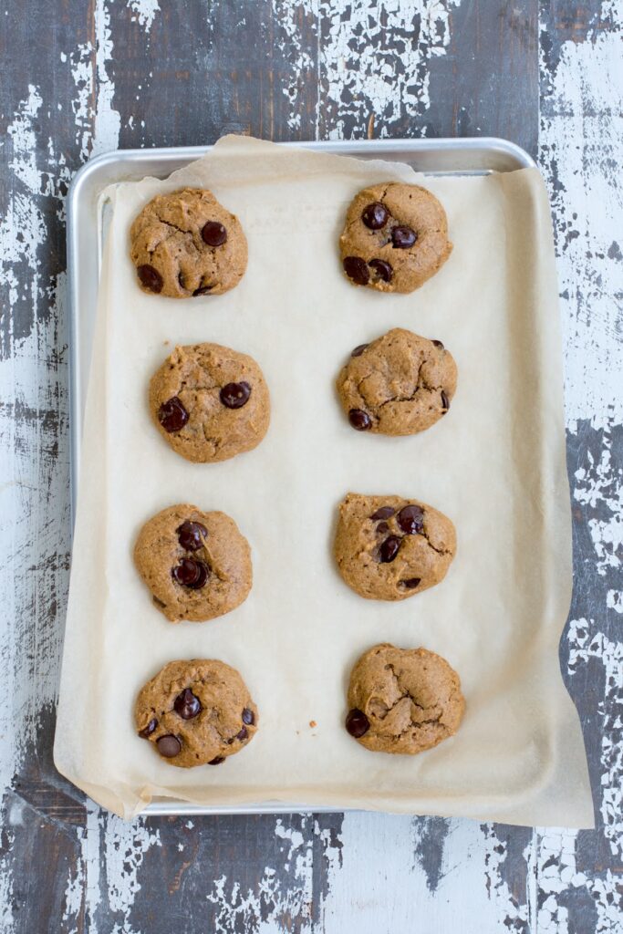These healthy Peanut Butter Chocolate Protein Cookies are a wholesome, easy-to-make treat that the whole family will love. Baked chocolate peanut butter protein cookies.