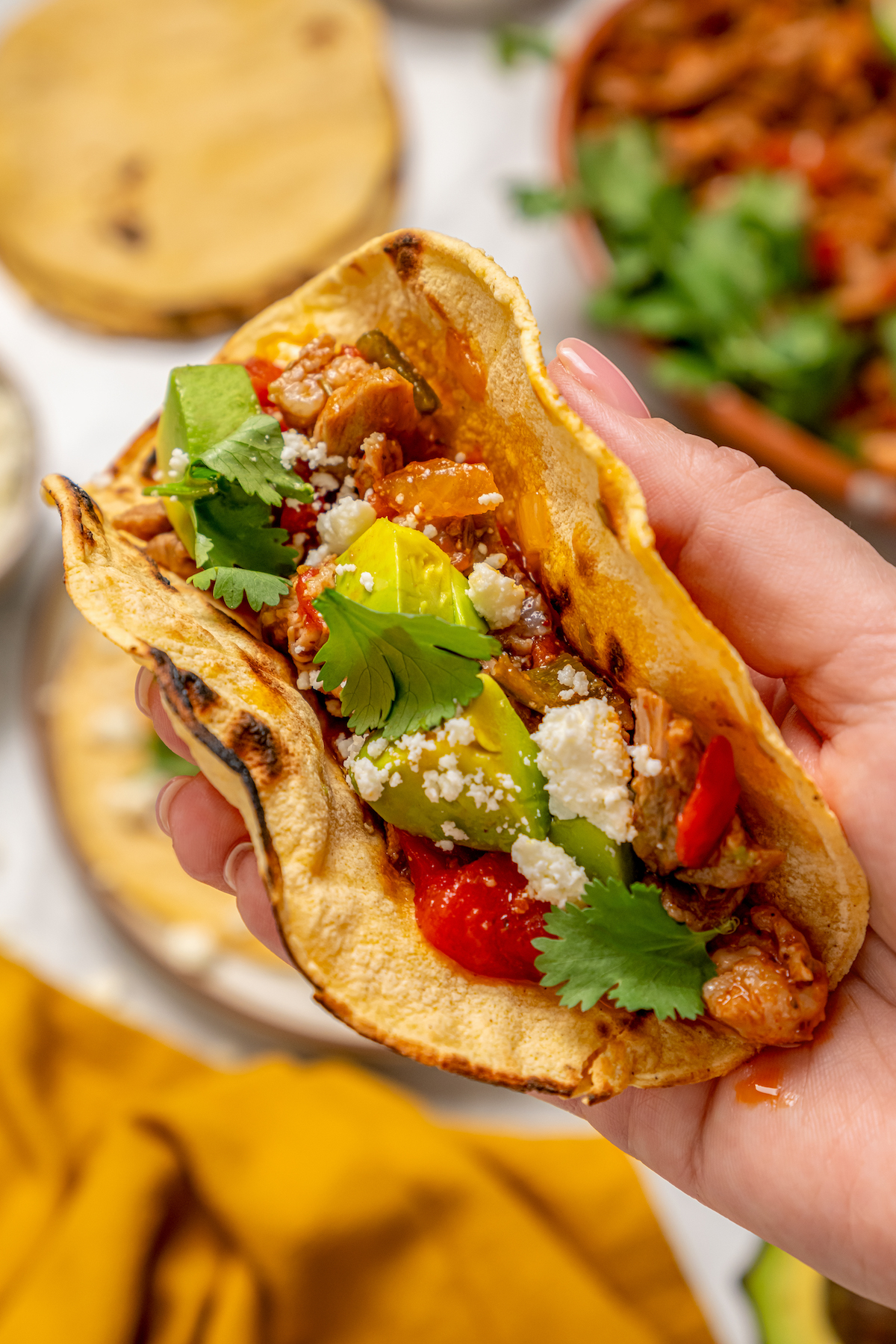 Close-up of a pulled pork taco with tomatoes, avocado, queso fresco, and cilantro.