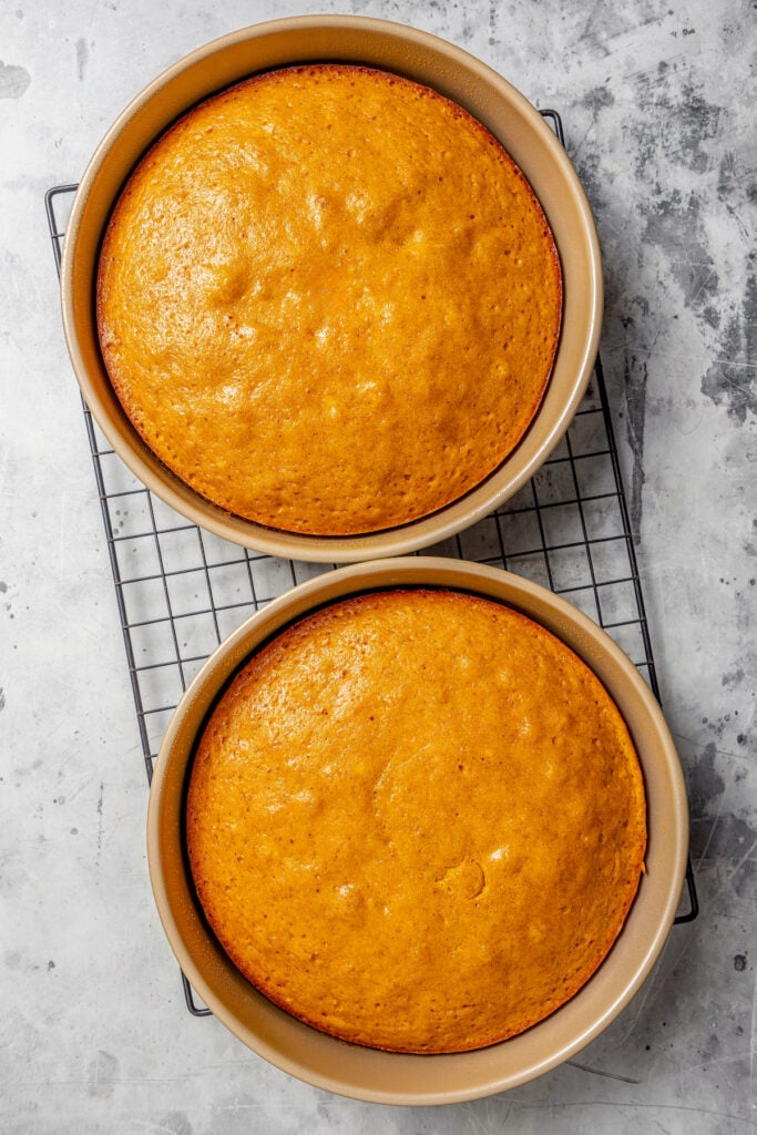 This warmly spiced pumpkin cake recipe with velvety cream cheese-chocolate frosting is a sweet end to any Thanksgiving dinner. Baked cakes in springform pans over a wire rack for cooling.