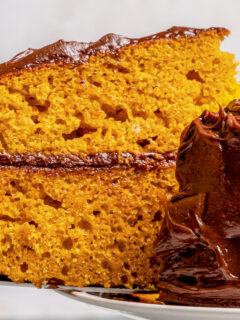 Landscape photo of pumpkin cake with chocolate frosting.