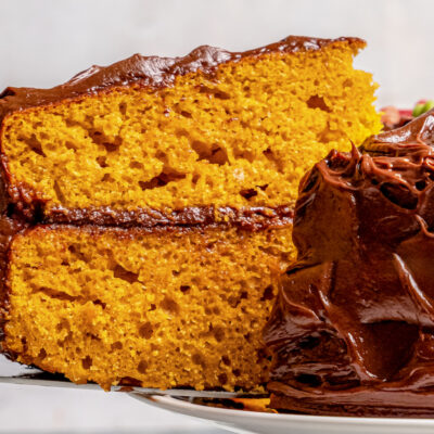 Landscape photo of pumpkin cake with chocolate frosting.