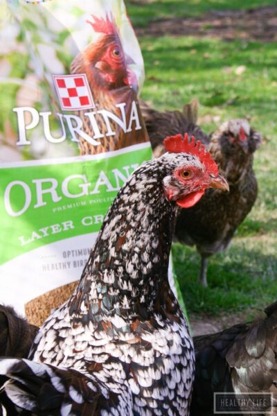 Organic Farm Fresh Eggs | ahealthylifeforme.com