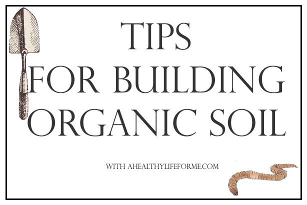 Tips for Building Organic Soil | ahealthylifeforme.com