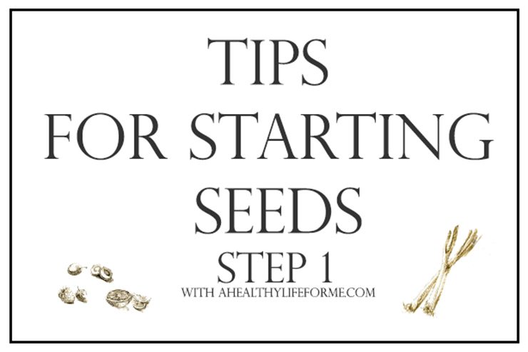 Tips for Starting Seeds | ahealhtylifeforme.com